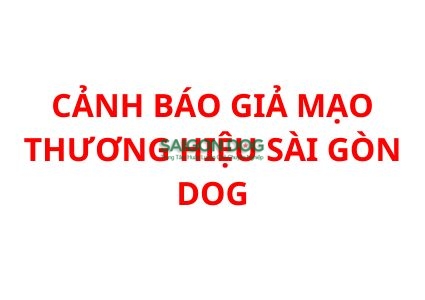CẢNH BÁO GIẢ MẠO THƯƠNG HIỆU SÀI GÒN DOG