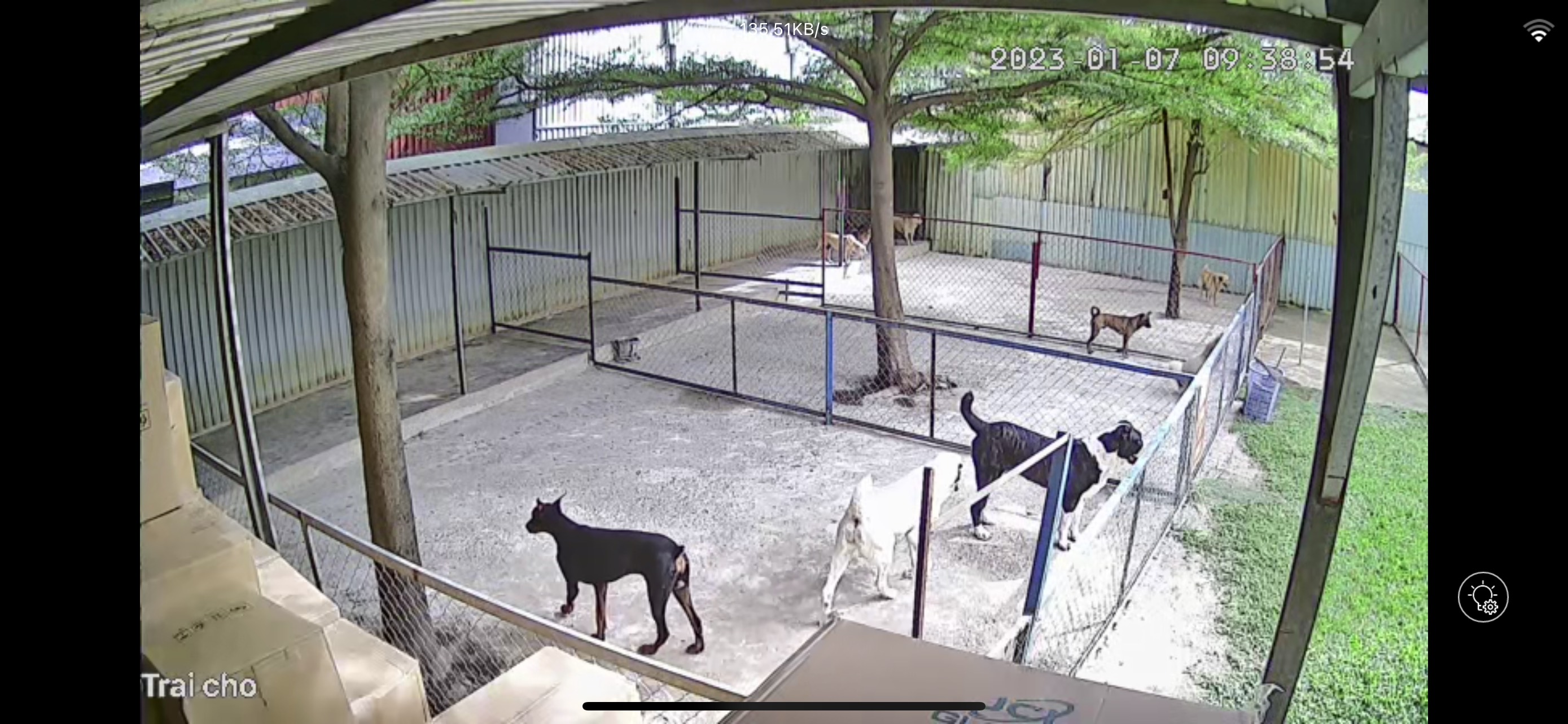 CAMERA THEO DÕI BÉ TỪ XA