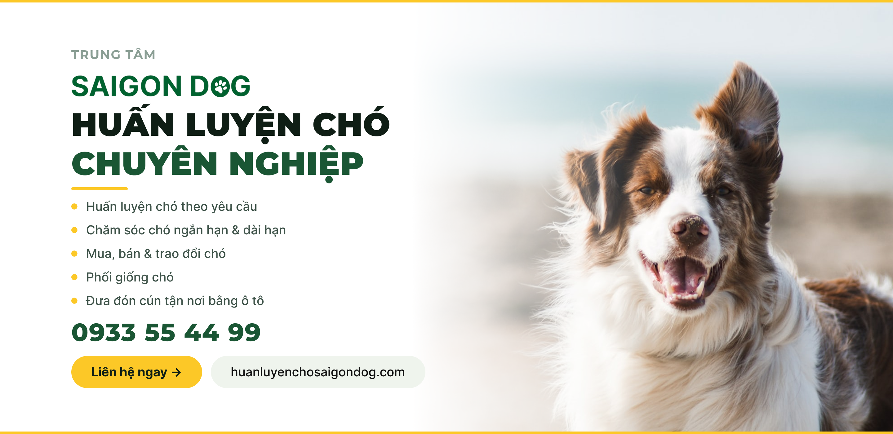 Trung tâm huấn luyện chó Sài Gòn Dog