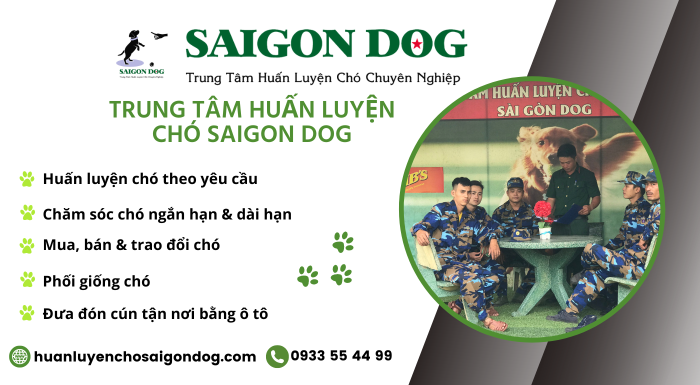 Hình ảnh liên hệ