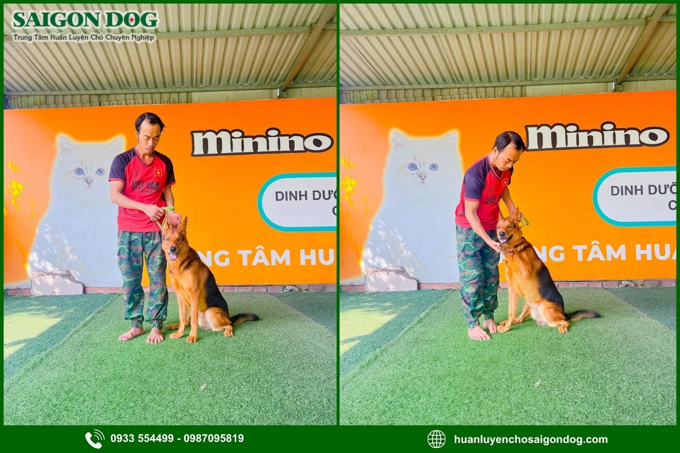 Các gói dịch vụ huấn luyện chó nghiệp vụ tại Sài Gòn Dog