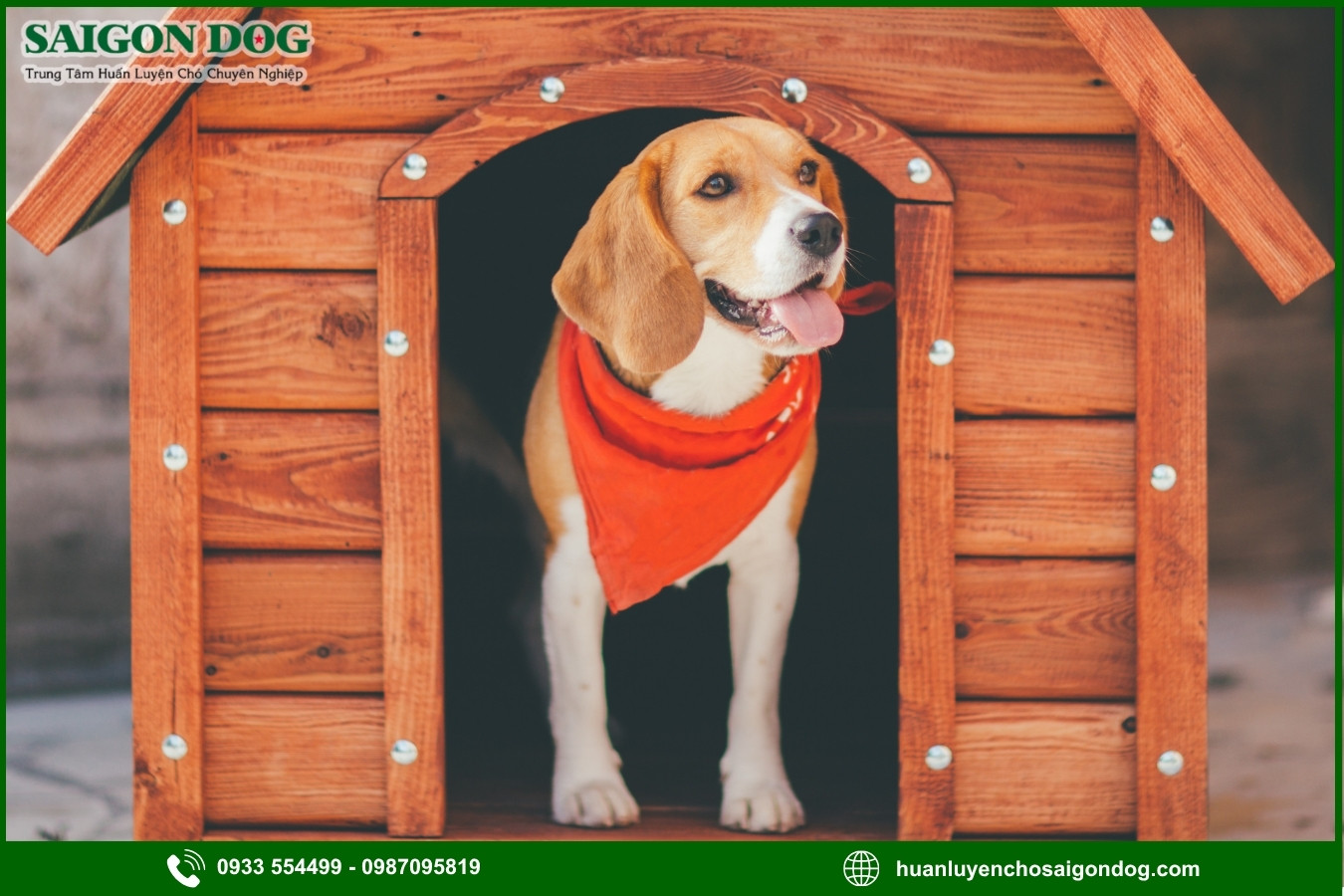 Cách dạy chó vào chuồng khi có lệnh
