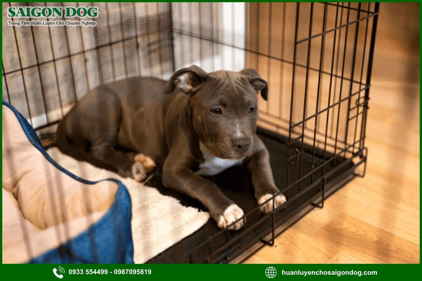 Chuẩn bị trước khi bắt đầu huấn luyện