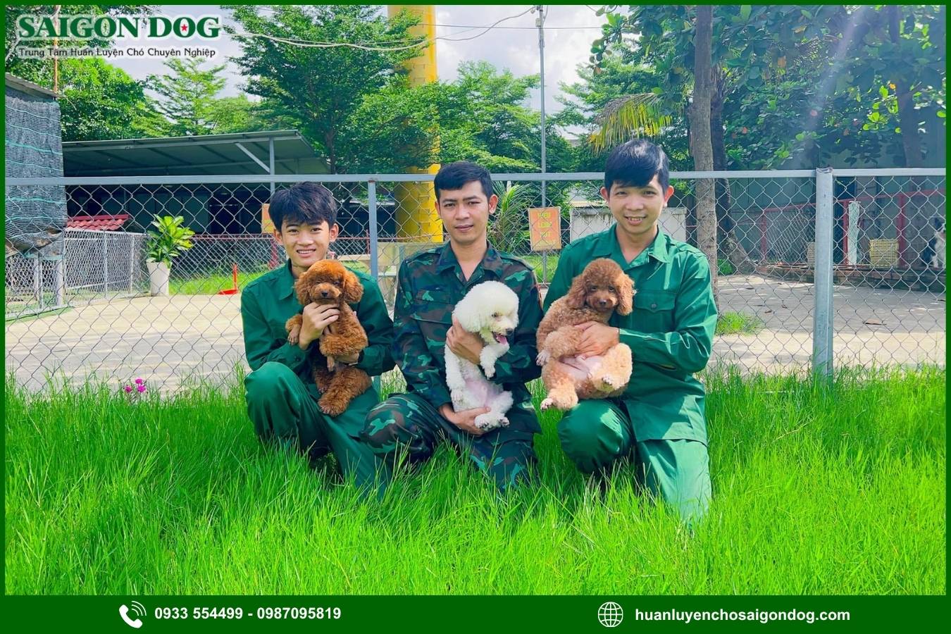 FAQs - Những câu hỏi thường gặp về dịch vụ chăm sóc chó
