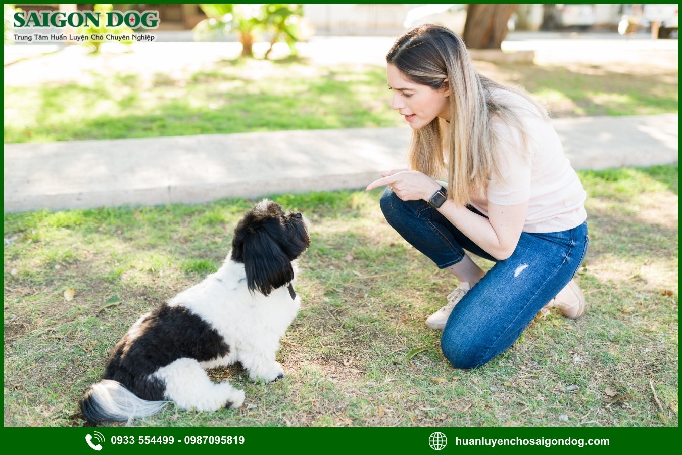 Những sai lầm thường gặp khi dạy chó đứng yên