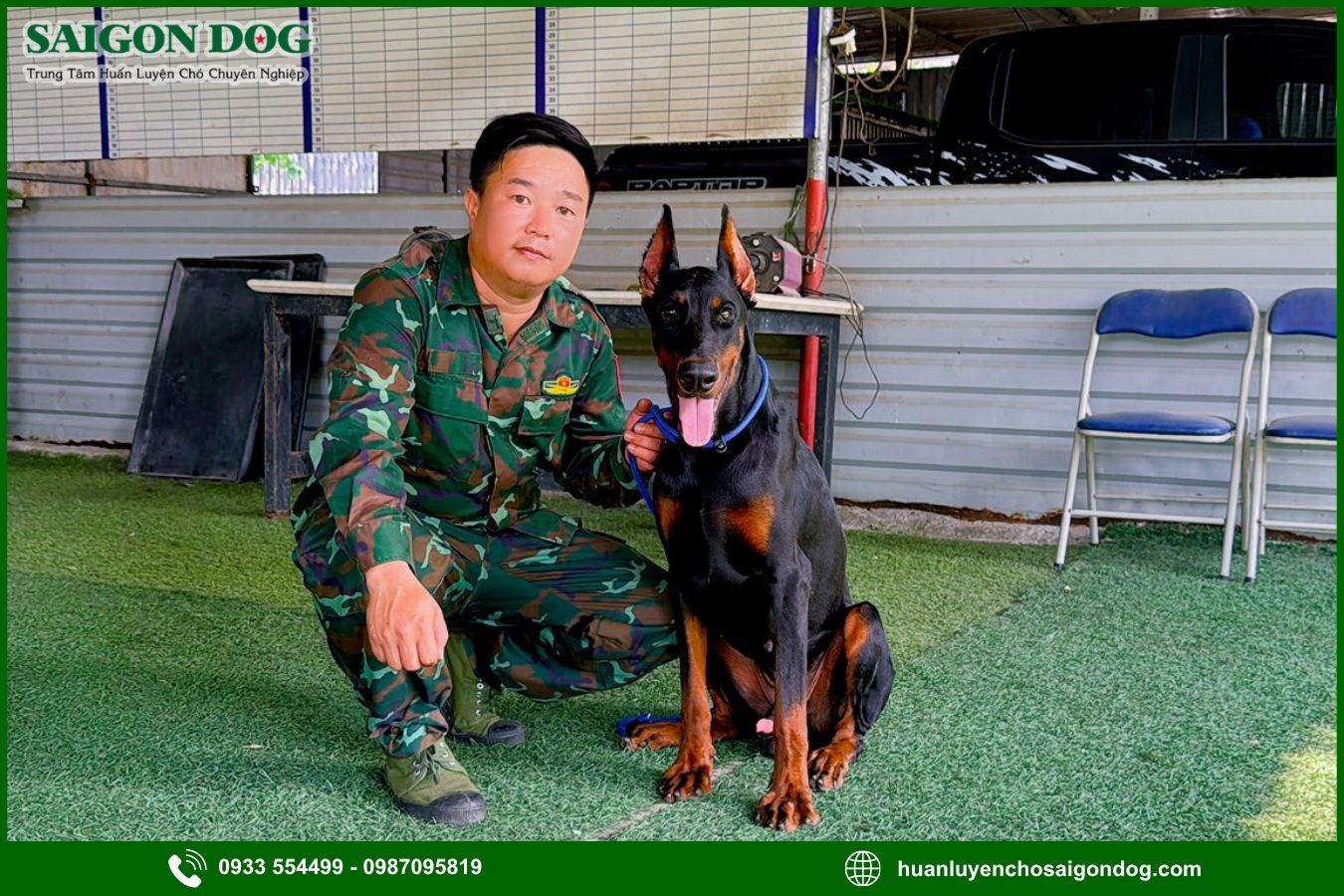 Quy trình huấn luyện chó chuyên nghiệp tại Sài Gòn Dog