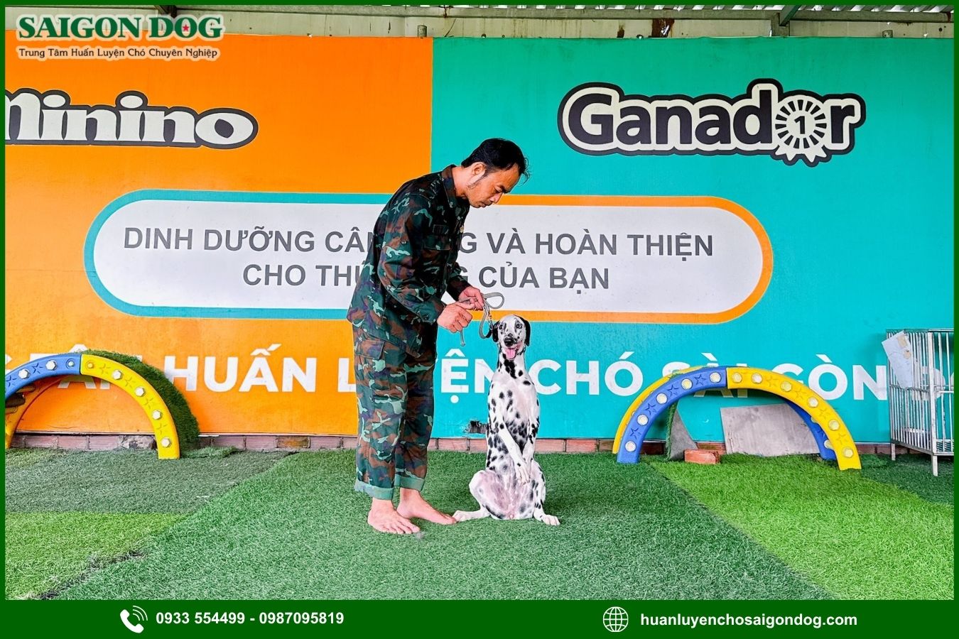 Quy trình huấn luyện chó kiểng tại Sài Gòn Dog