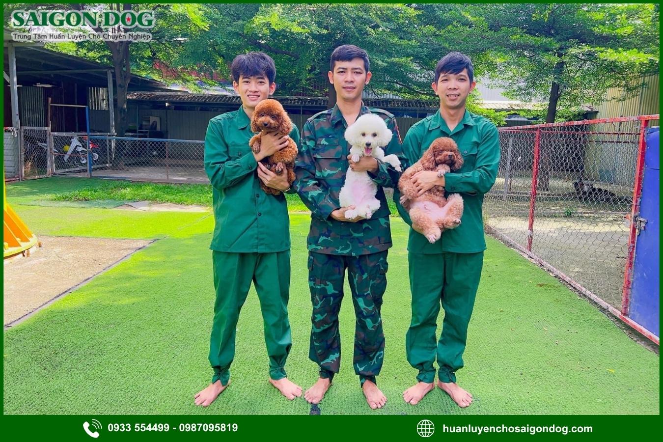 Quy trình huấn luyện chó kiểng tại Sài Gòn Dog