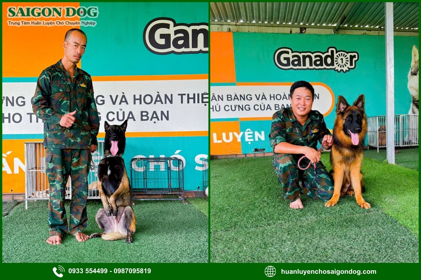 Quy trình huấn luyện chó nghiệp vụ tại Sài Gòn Dog
