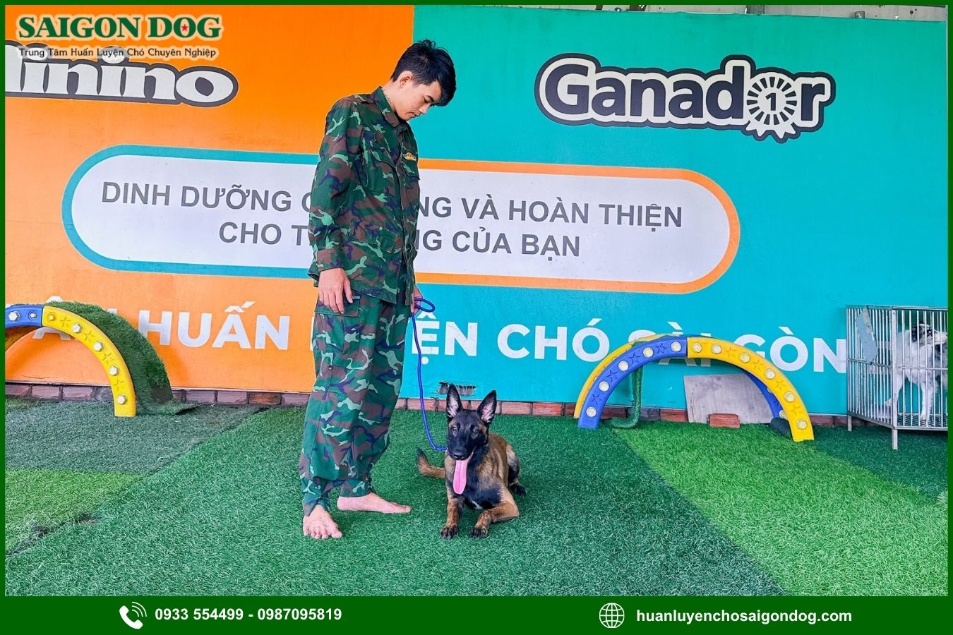 Quy trình huấn luyện chó nghiệp vụ tại Sài Gòn Dog