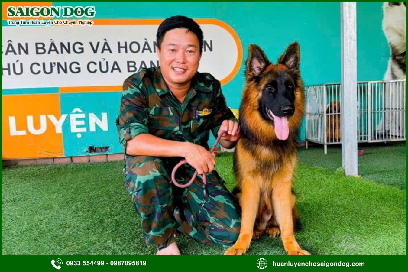 Quy trình huấn luyện chó tại Sài Gòn Dog
