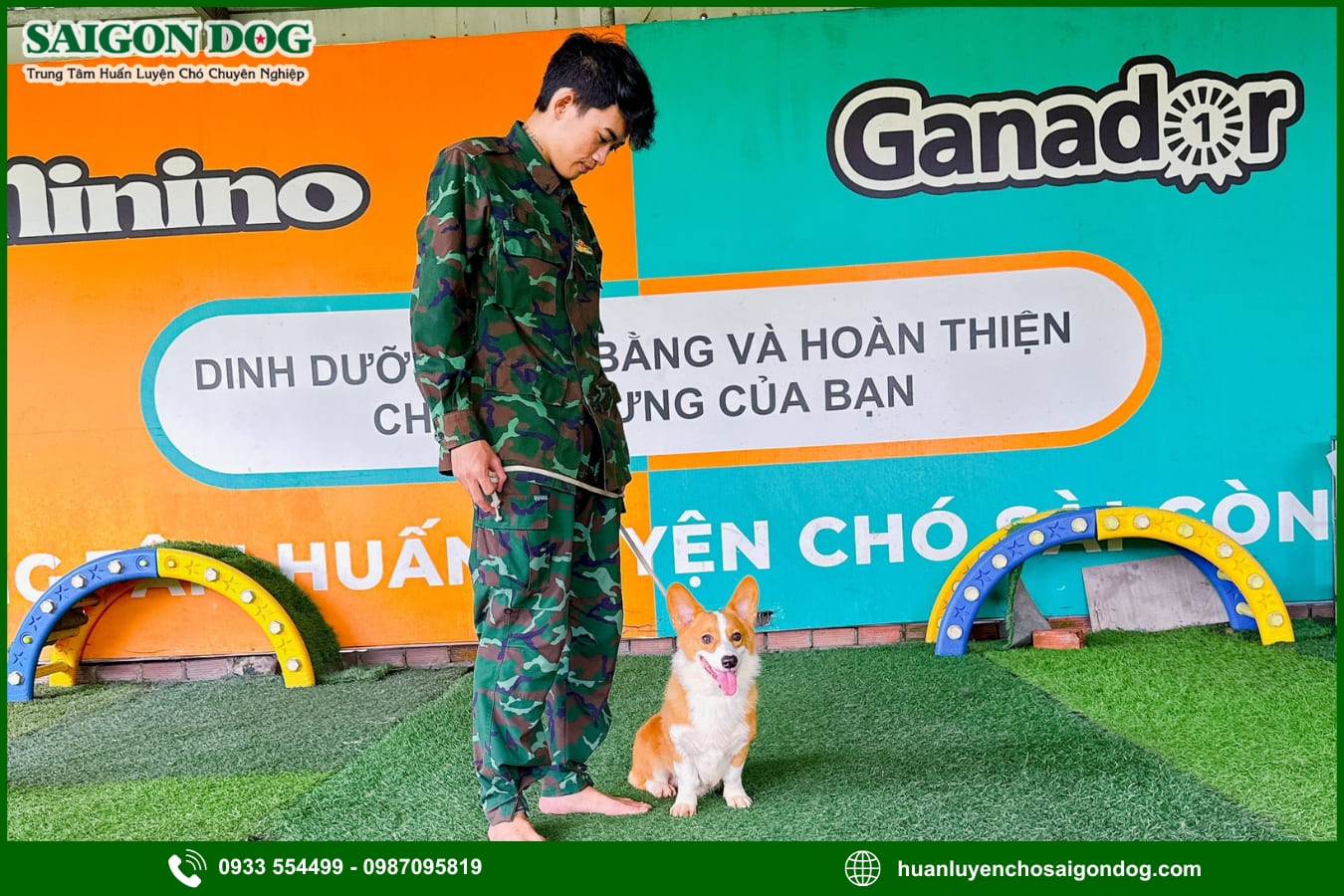 Quy trình huấn luyện chó tại Sài Gòn Dog