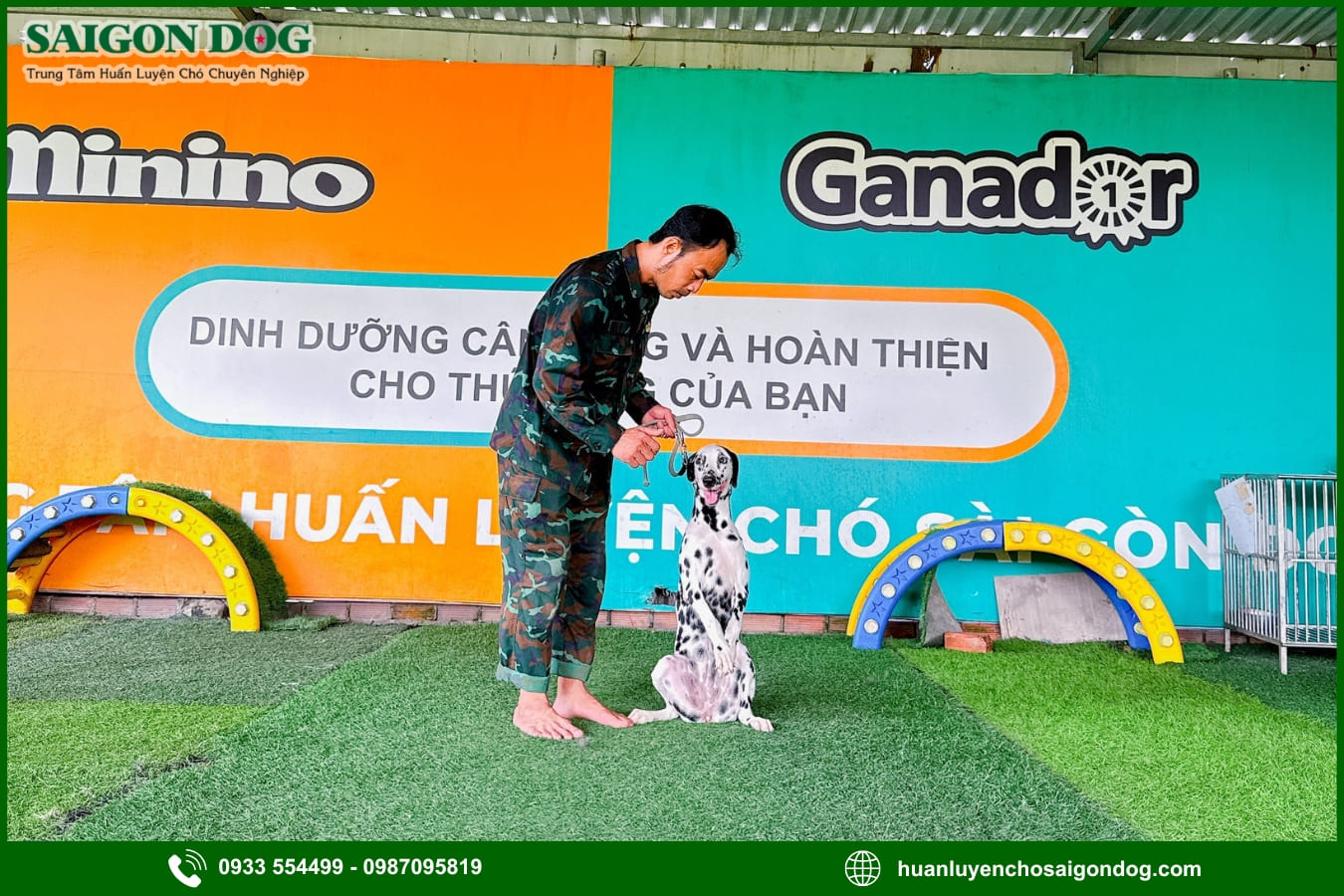 Quy trình huấn luyện chó tại Sài Gòn Dog