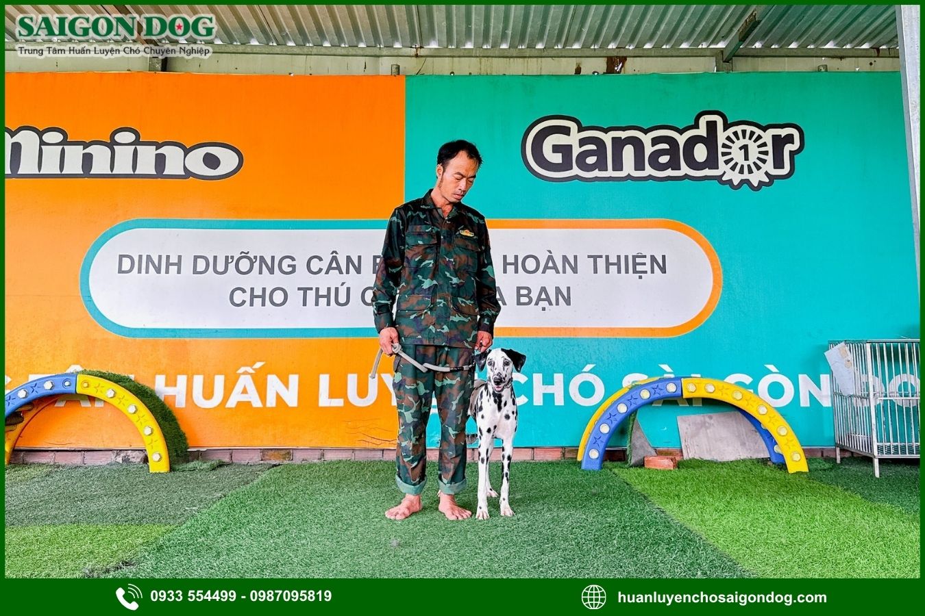 Quy trình huấn luyện chó theo giống tại Sài Gòn Dog