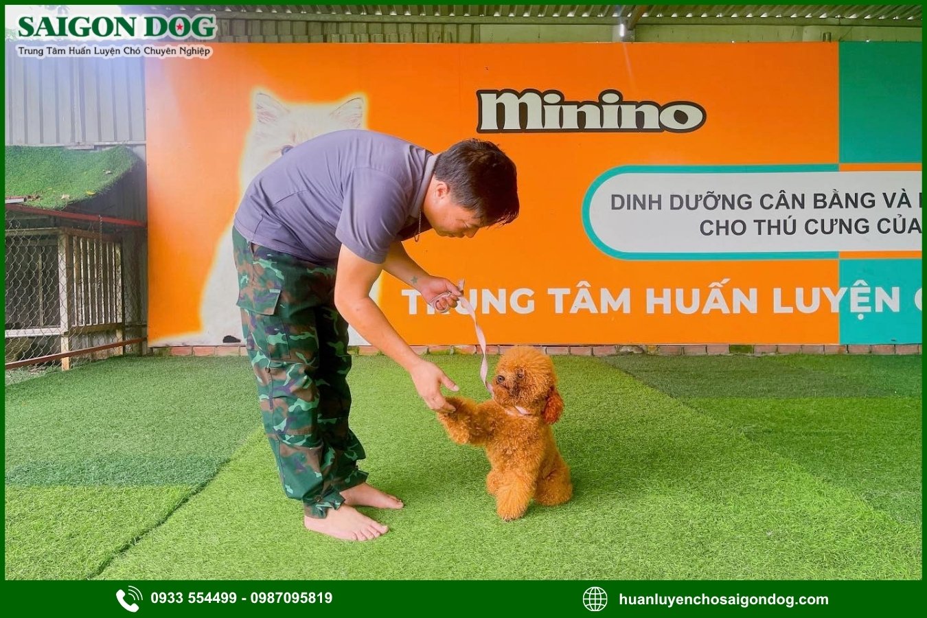 Quy trình huấn luyện chó theo giống tại Sài Gòn Dog
