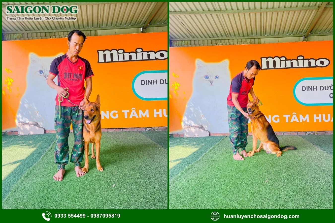 Quy trình huấn luyện chó theo yêu cầu tại Sài Gòn Dog