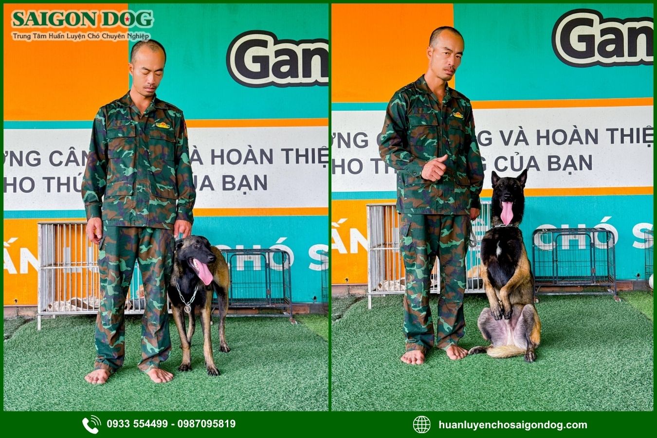 Sài Gòn Dog - Trung tâm huấn luyện chó Becgie chuyên nghiệp