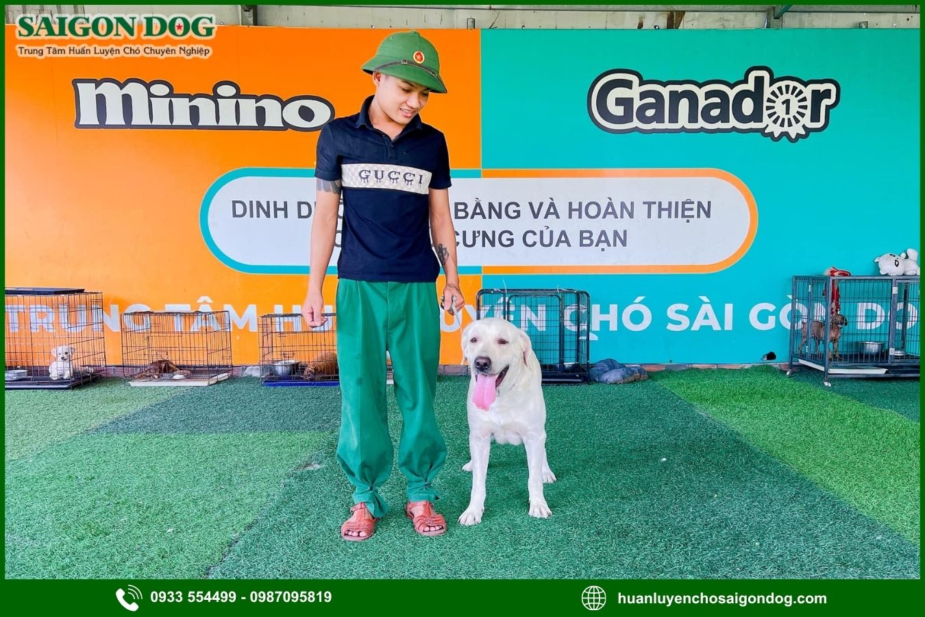 Sài Gòn Dog - Trung tâm huấn luyện chó Labrador Retriever chuyên nghiệp