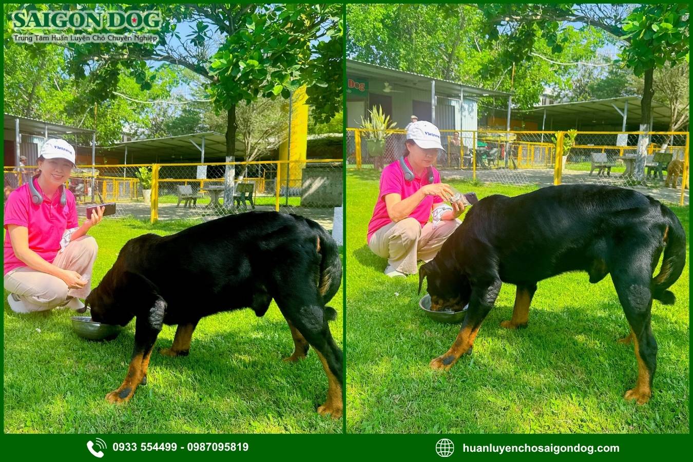 Ưu điểm dịch vụ huấn luyện chó nghiệp vụ của Sài Gòn Dog