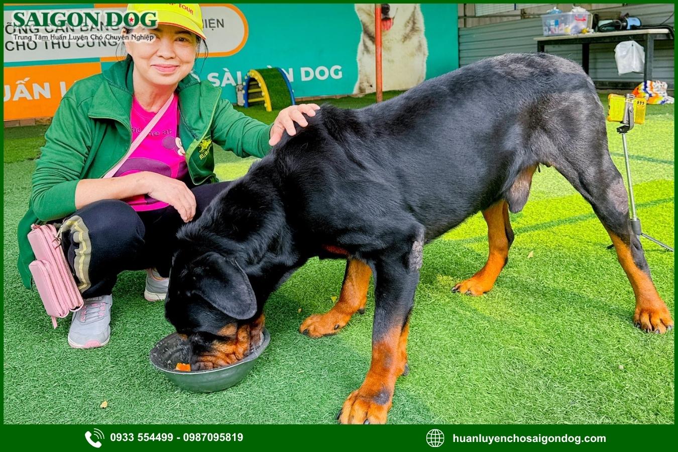 Ưu điểm dịch vụ huấn luyện chó nghiệp vụ của Sài Gòn Dog