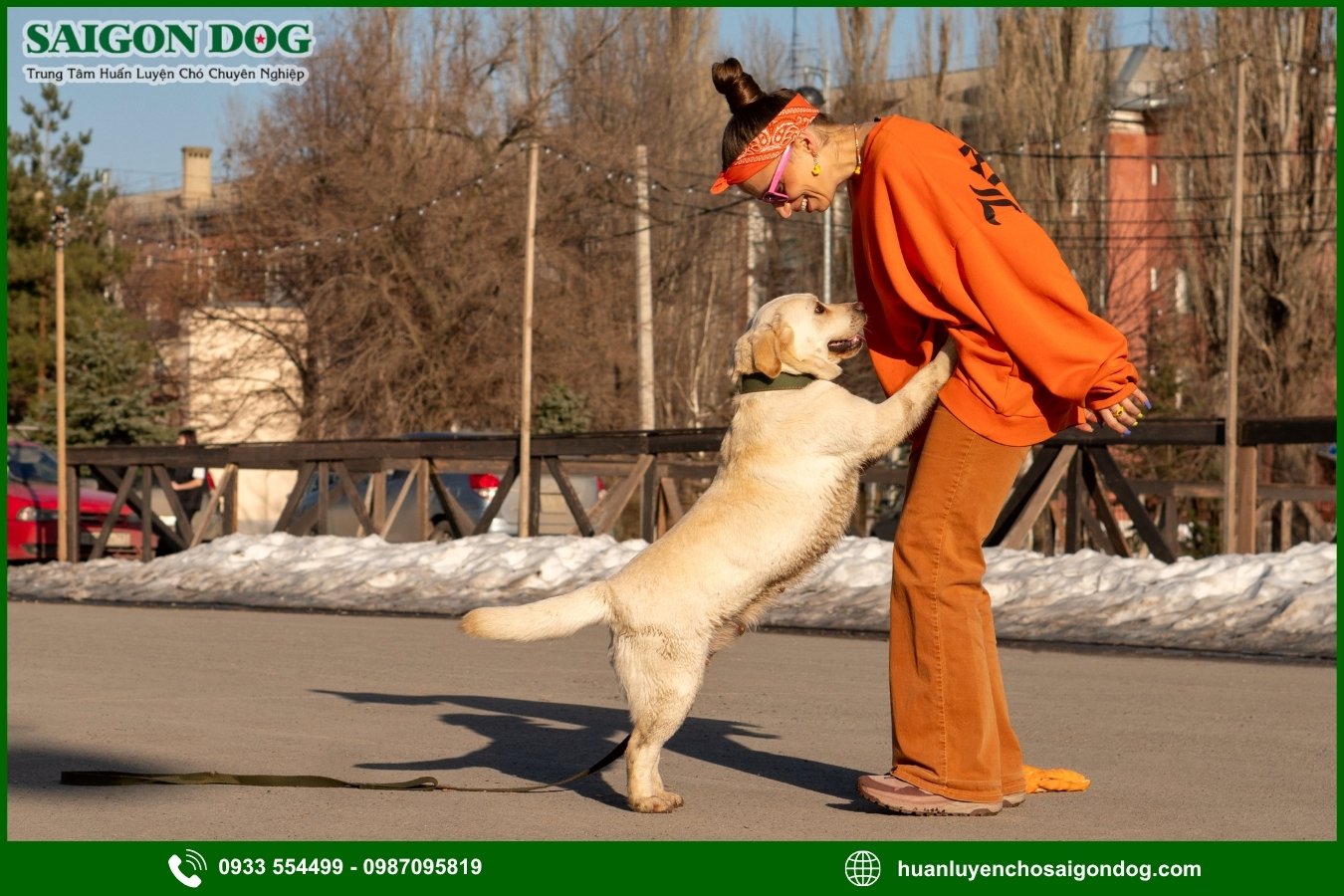 Vì sao chó thường có thói quen nhảy lên người?